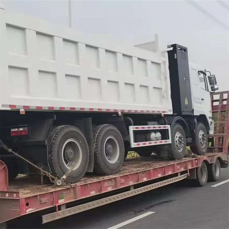 东风区探秘蓬莱区多元物流运输世界