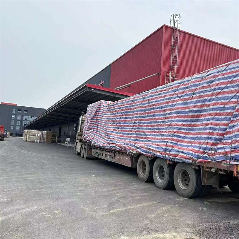 东风区渝中区物流：多元服务与运输线路探秘